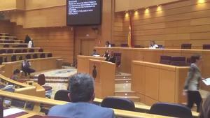 La senadora del PNB María Eugenia Iparragirre s’ha acomiadat dels seus companys dedicant-los una cançó des de la tribuna d’oradors