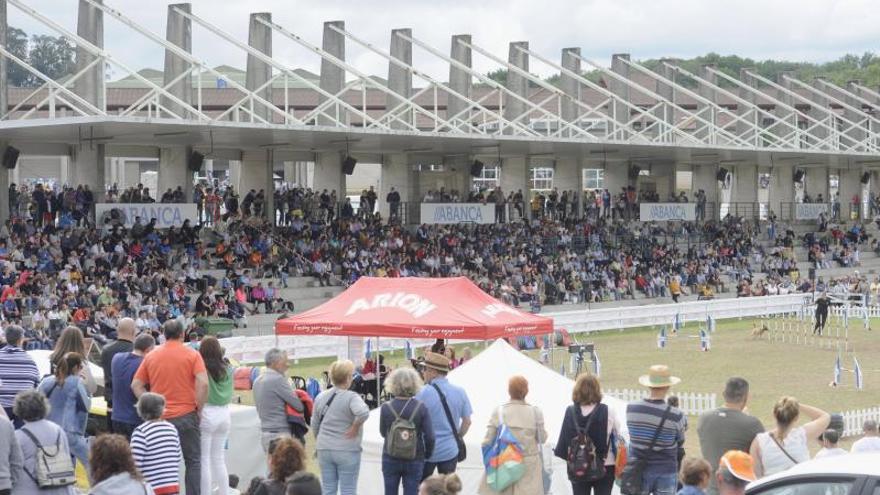 Casi 100.000 visitas en cuatro días de feria