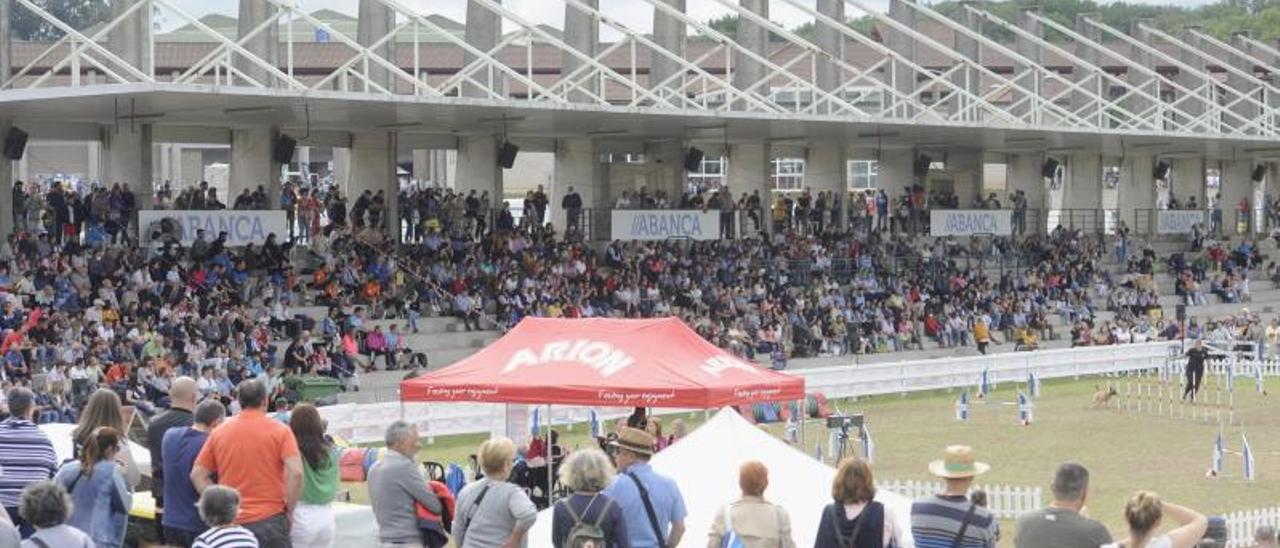 Numeroso público se dio cita en las competiciones de agilidad 
canina durante buena parte de la pasada jornada.   | // BERNABÉ/JAVIER LALÍN