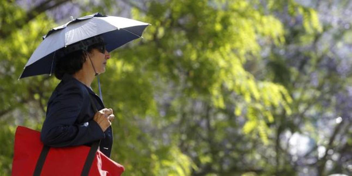 Mejor por la sombra entre las once y las cuatro de la tarde