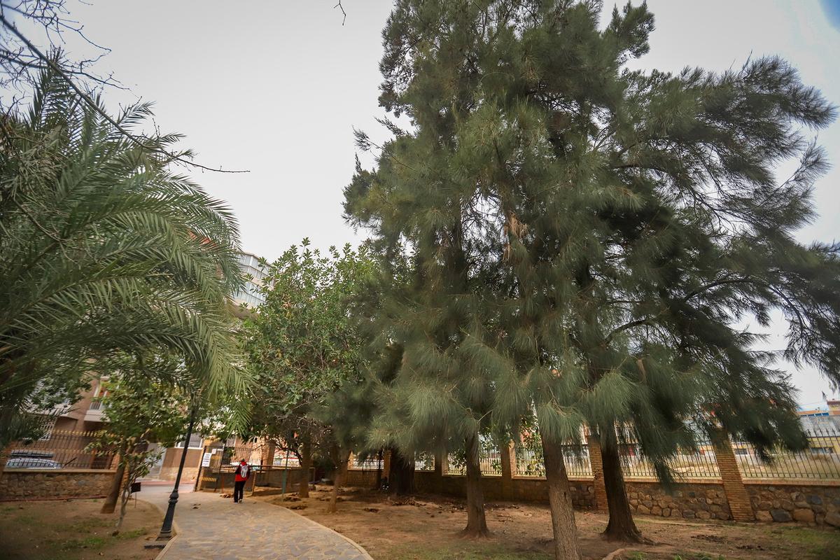 Parque de Doña Sinforosa