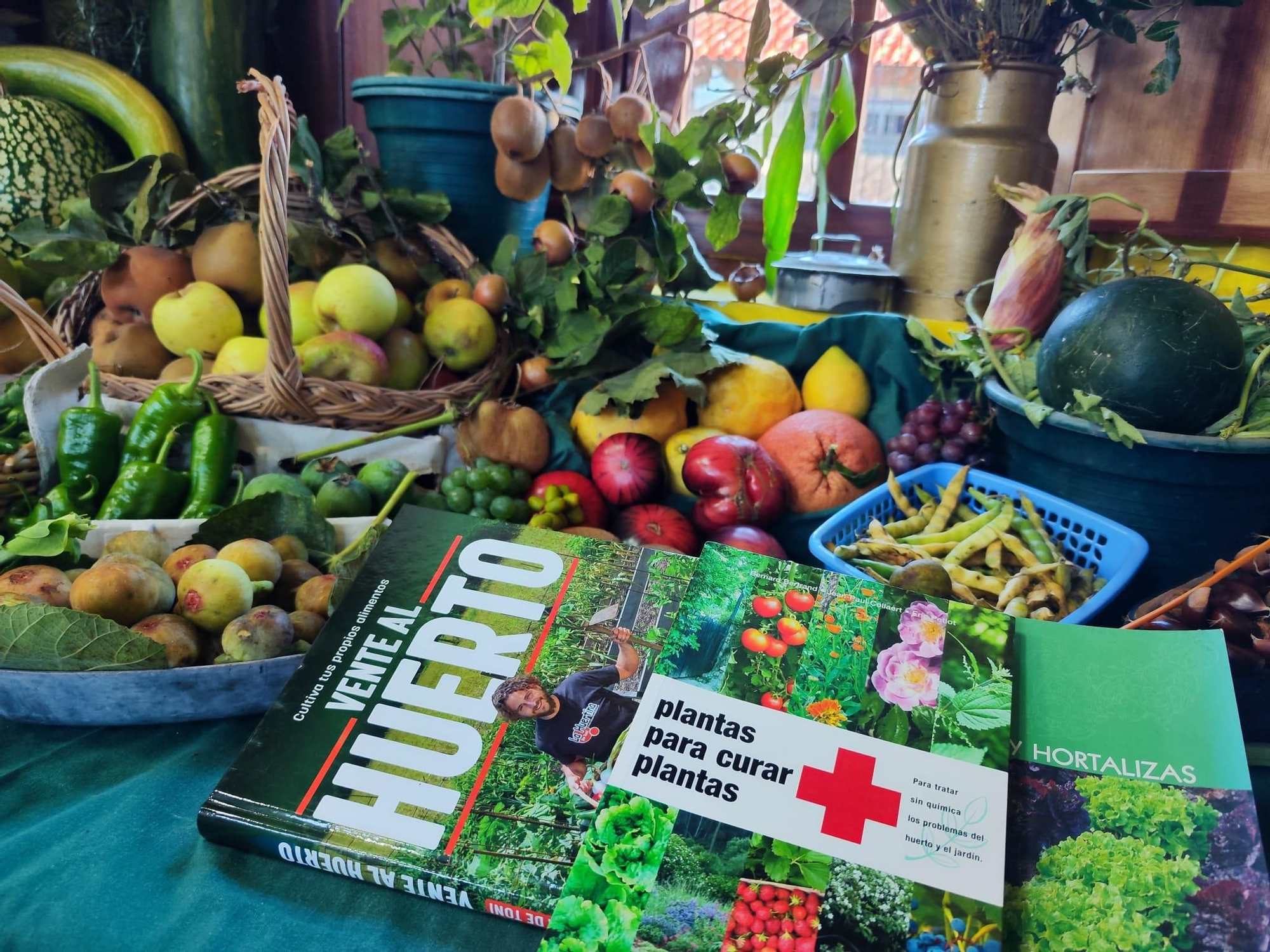 Quintes, entre hortalizas y plantas en una nueva exposición de la huerta