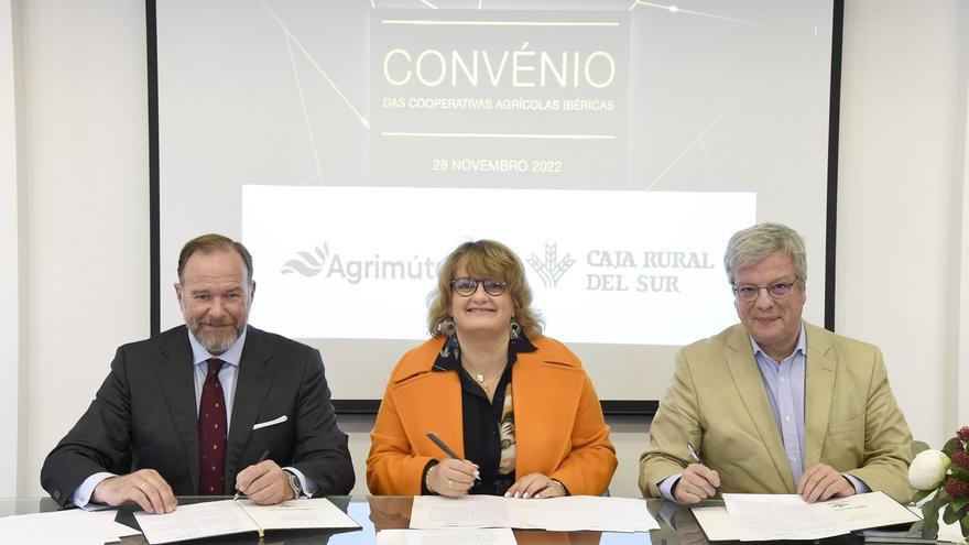 Caja Rural del Sur obtiene la licencia para operar en Portugal y continuar su expansión