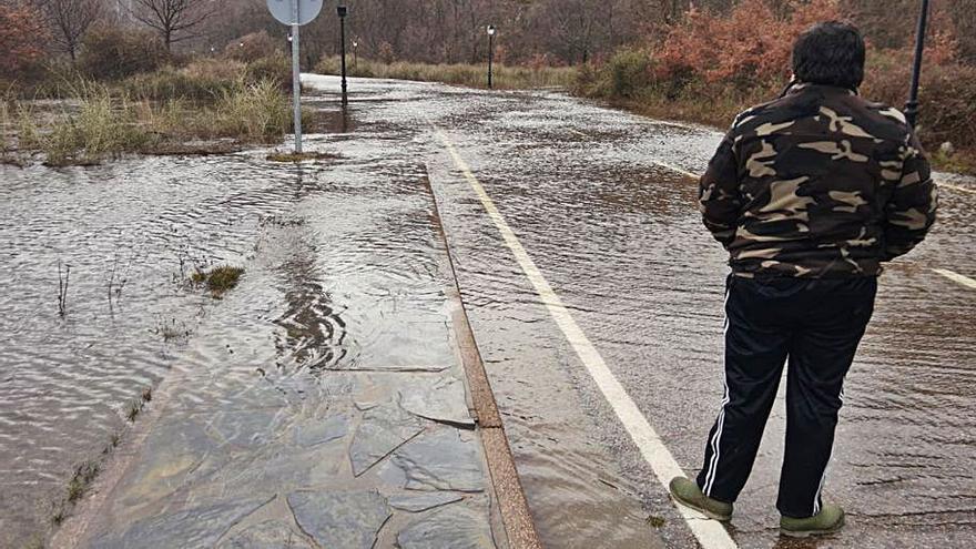 La carretera entre Ribadelago y Ribadelago Viejo. | Araceli Saavedra