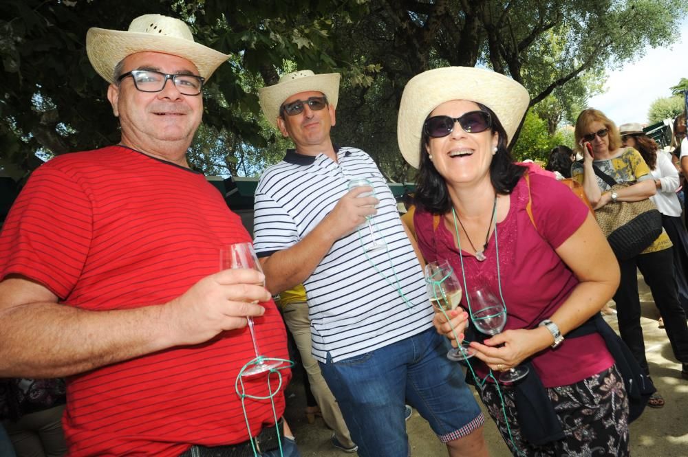 Arranca la Festa do Albariño 2017