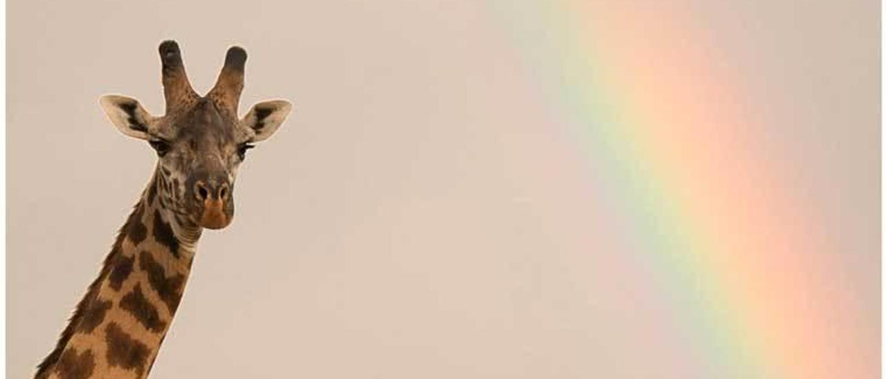 &quot;Enmarcada por el arco iris&quot; es la imagen ganadora en la categoría de menores de 20 años del 27.º &quot;Memorial María Luisa&quot; de Fotografía de Naturaleza.