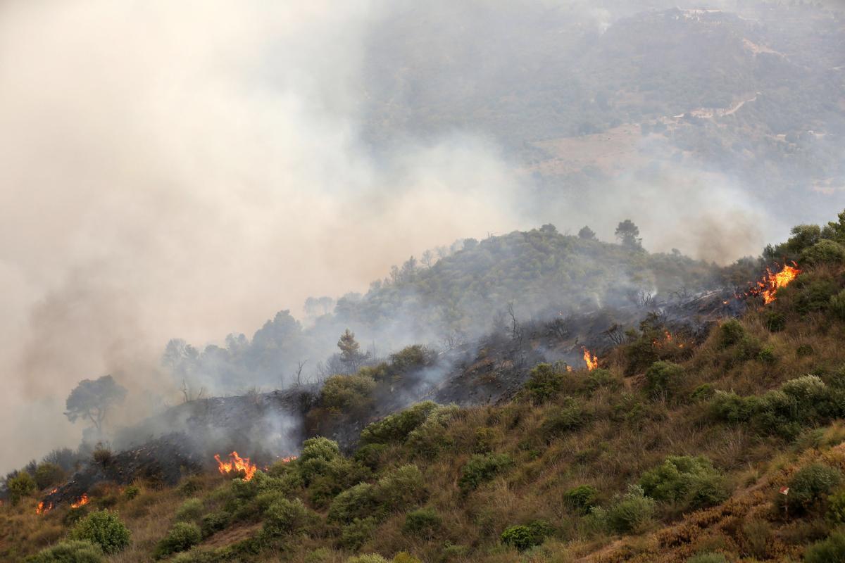 Zberber (Algeria), 24/07/2023.- A forest fire burns near the village of Zberber, Bouira province in the mountainous Kabyle region, Algeria, 24 July 2023. The Algerian Ministry of the Interior announced the death of 24 civilians, 10 victims of the National Army and 26 injured. EFE/EPA/STR