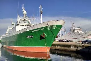 Científicos de NAFO plantean un drástico recorte del 50% en la cuota de bacalao