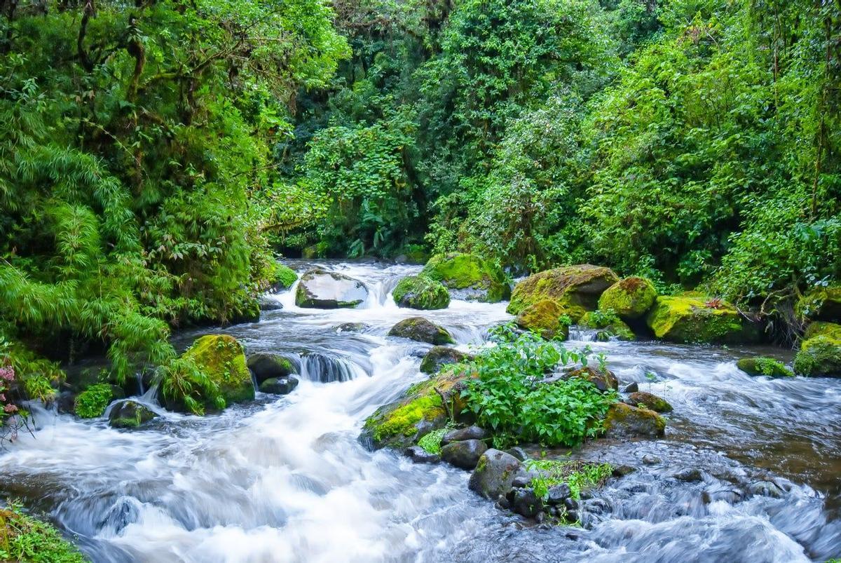 costa rica