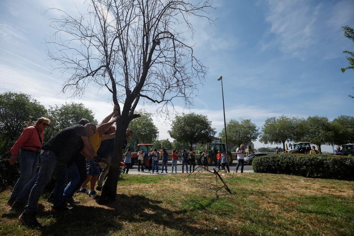 Tractorada en Lleida para pedir soluciones ante la sequía