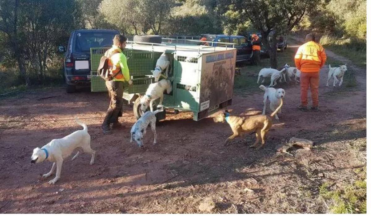 Preparando una batida en Castellón.