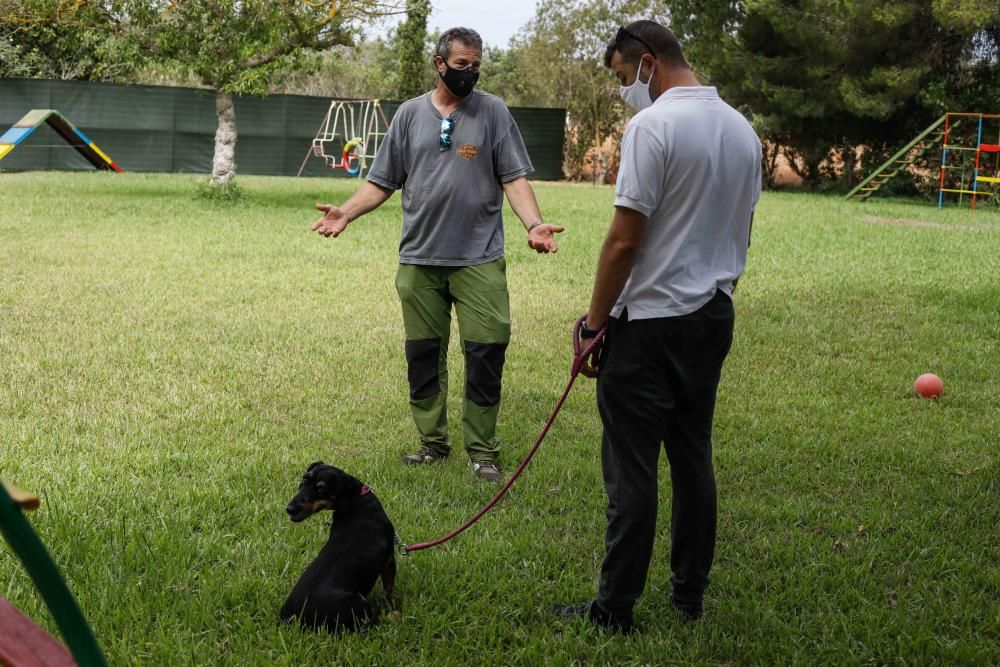 Un instructor de la ONCE prueba en Ibiza un proyecto de vacaciones formativas con mascotas