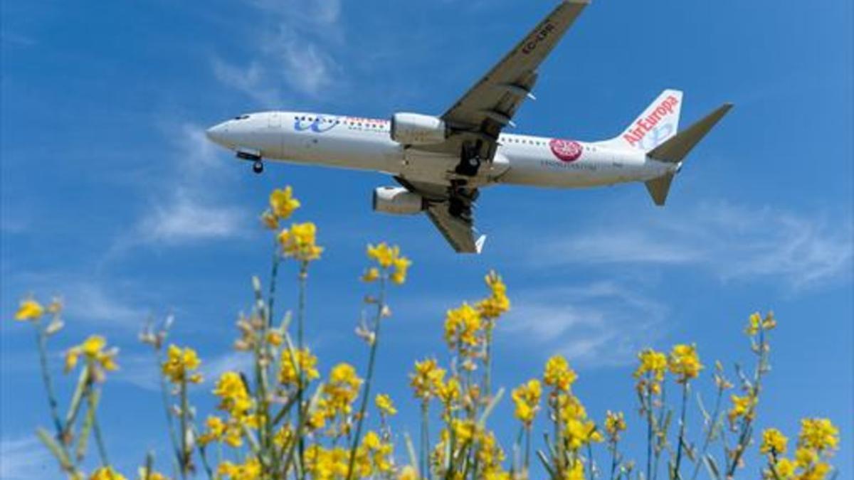 Un avión de Air Europa se dispone a aterrizar en El Prat.