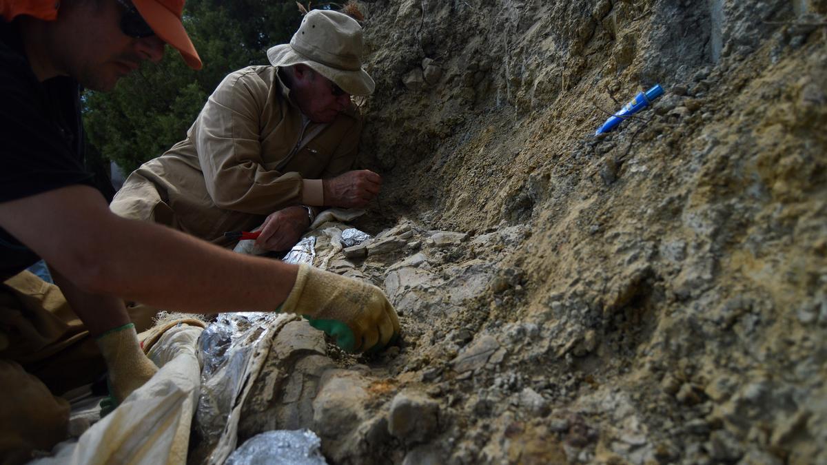 El paleontólogo Andrés Santos Cubedo excavando en un yacimiento