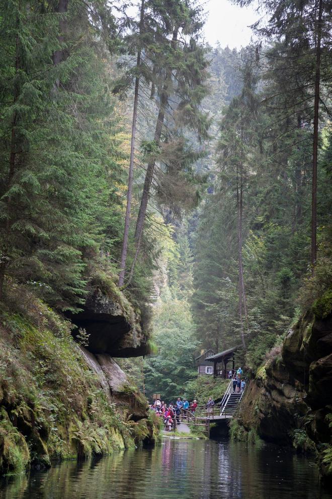 Republica Checa, Bosques Bohemia