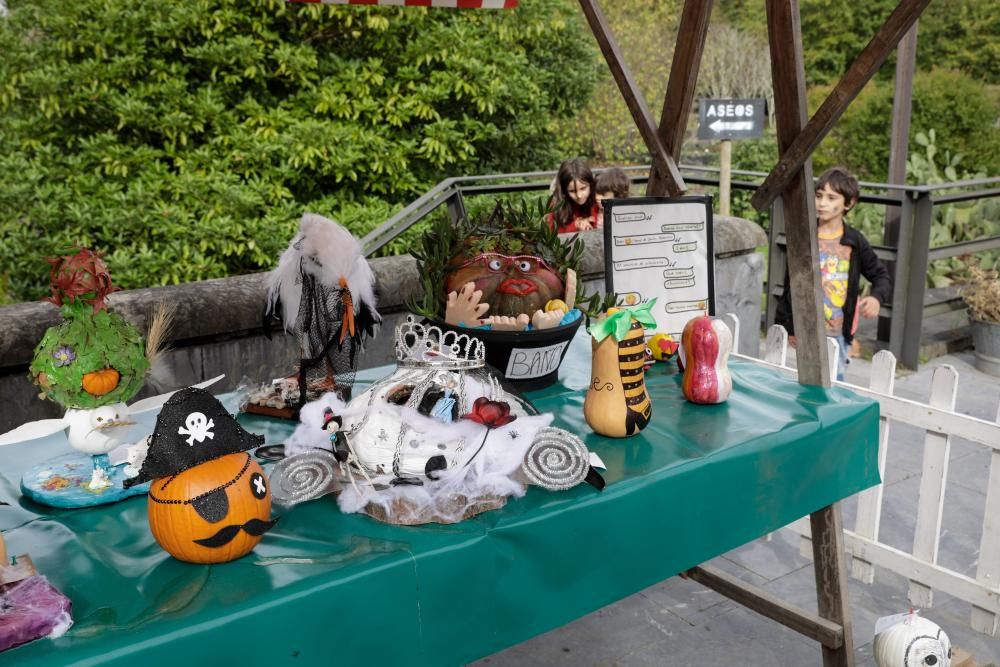 Calabazas en el Jardín Botánico de Gijón