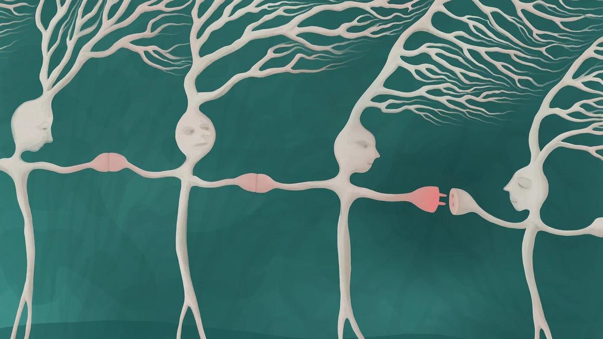 Las sinapsis eléctricas conectan las neuronas en casi todos los cerebros; sin embargo, poco se sabe acerca de ellos.