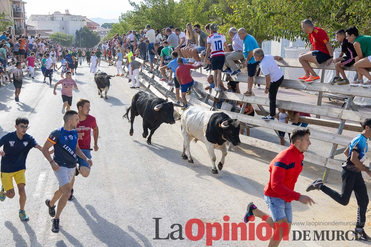 Sexto y último encierro de la Feria Taurina del Arroz en Calasparra