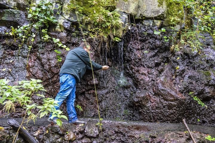 NACIENTES DE AGUA EN EL BARRANCO DE LA VIRGEN