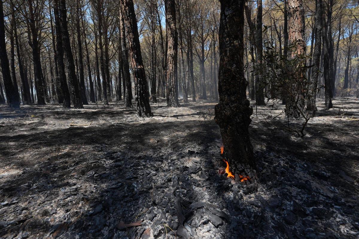 Galeria de fotos: l'incendi de les Gavarres calcina una casa a Calonge Galeria de fotos: l'incendi de les Gavarres calcina una casa a Calonge