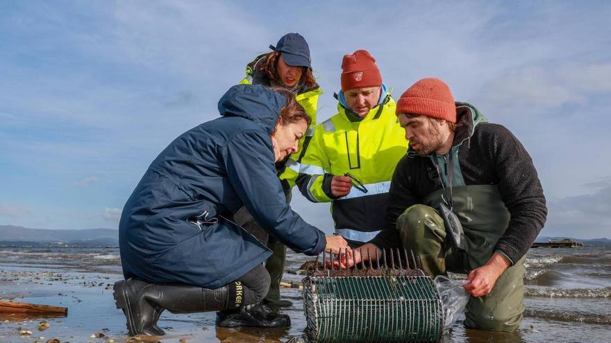 Oferta de empleo en Galicia: se buscan profesionales del marisqueo
