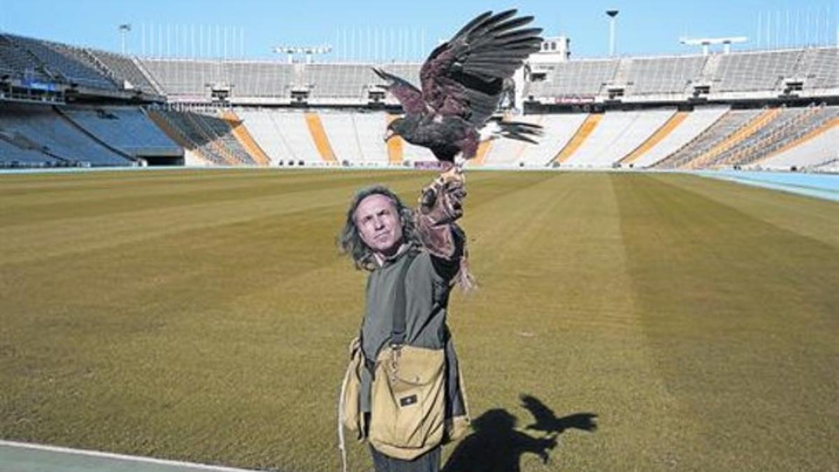 Preoteccion del patrimonio olímpico  8 El halconero Cristóbal Díaz suelta su águila en el Estadi.