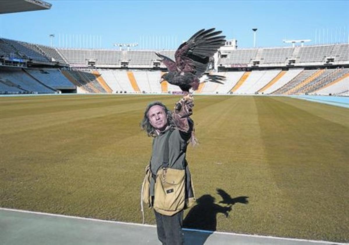 Protecció del patrimoni olímpic 8 El falconer Cristóbal Díaz deixa anar la seva àguila a l’Estadi.