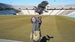Protecció del patrimoni olímpic 8 El falconer Cristóbal Díaz deixa anar la seva àguila a l’Estadi.