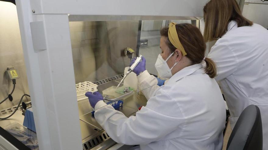 El centro de nanotecnología alcanza los 65 empleos en El Entrego y supera su récord de publicaciones científicas, con 71