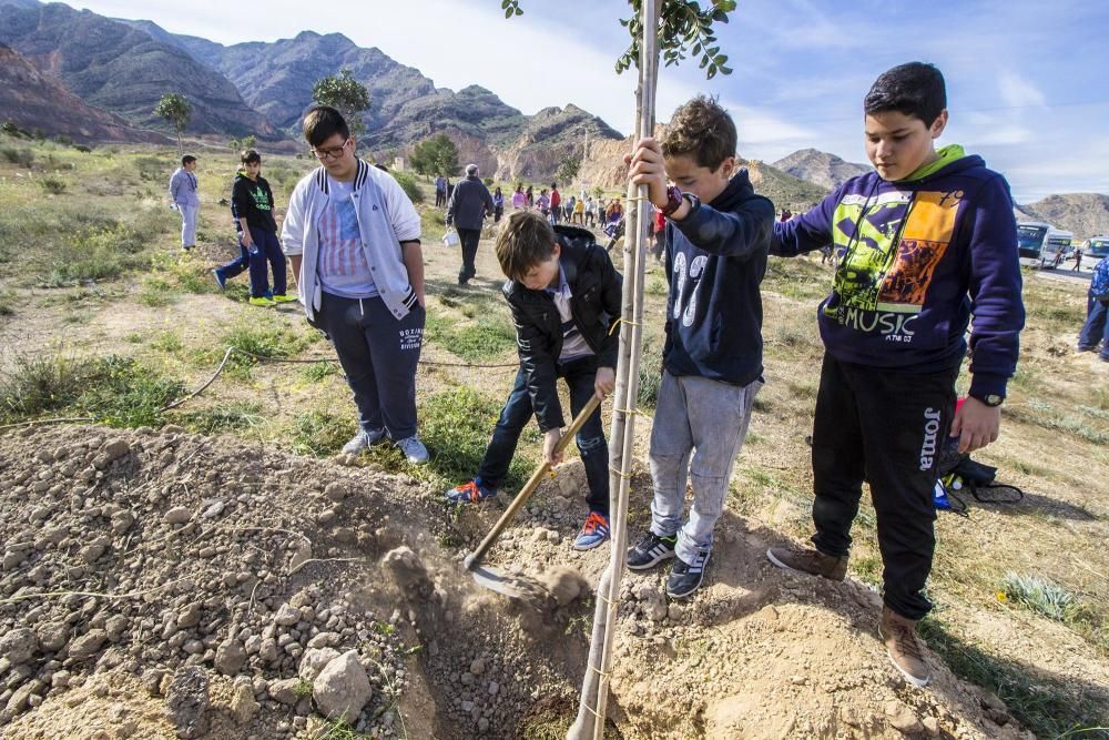 Proyecto para convertir la cantera de Cox en zona verde