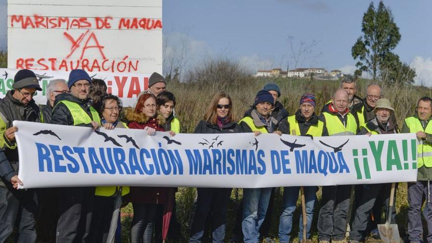 Los defensores de las Marismas de Maqua urgen el plan de restauración