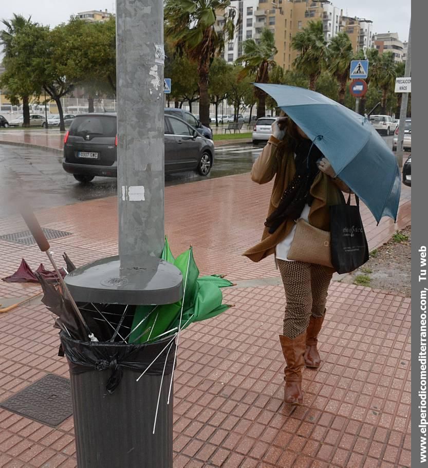 GALERÍA DE FOTOS -- Efectos de las tormentas en la provincia