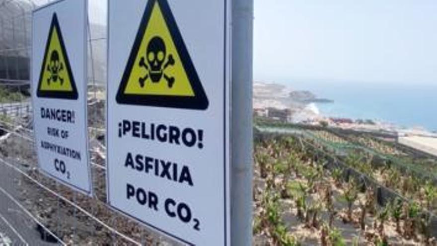 Un fisiólogo pone en duda la letalidad asociada a los gases en el Valle de Aridane