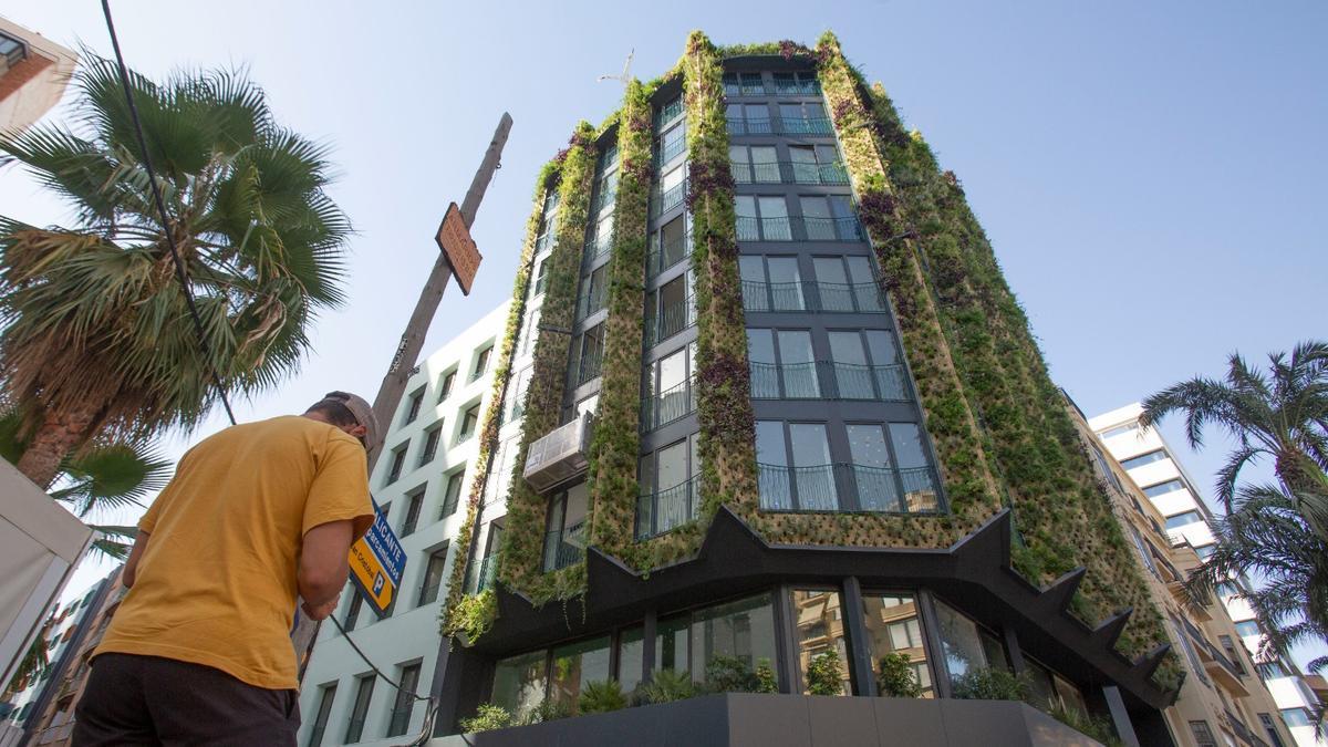 Un edificio en el centro de Alicante, con jardín vertical en su fachada.