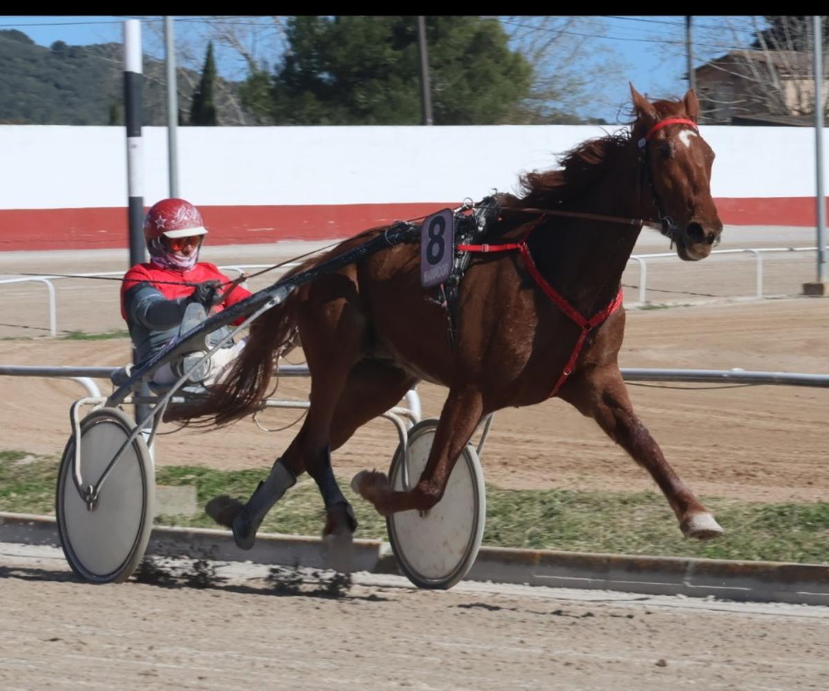 Micha des Llorer, con Guillem Andreu en su triunfo en el ‘Premi Vesta’