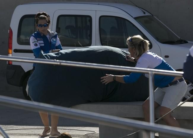 14/11/2016  deporte aventura sanidad  cinco mujeres que han superado el cancer cruzarán el atlántico patrocinadas por  pelayo que han realizado una escala en el muelle de marina de san miguel realizando un entrenamiento en la bahia