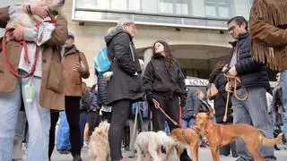 Los veterinarios de A Coruña: «No pararemos hasta que nos escuchen»