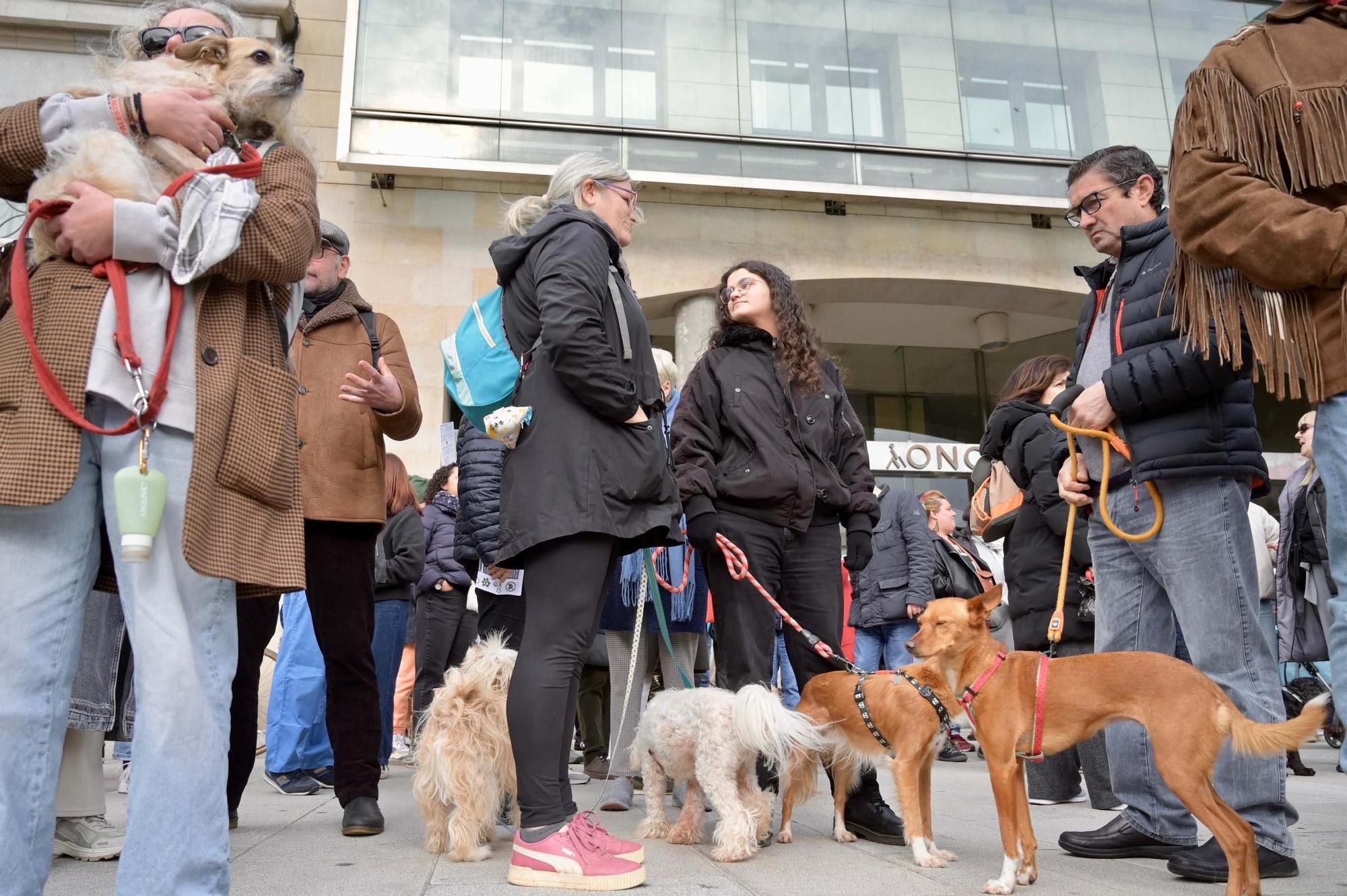 Protesta de veterinarios contra el nuevo decreto del Gobierno que regula el uso de medicamentos