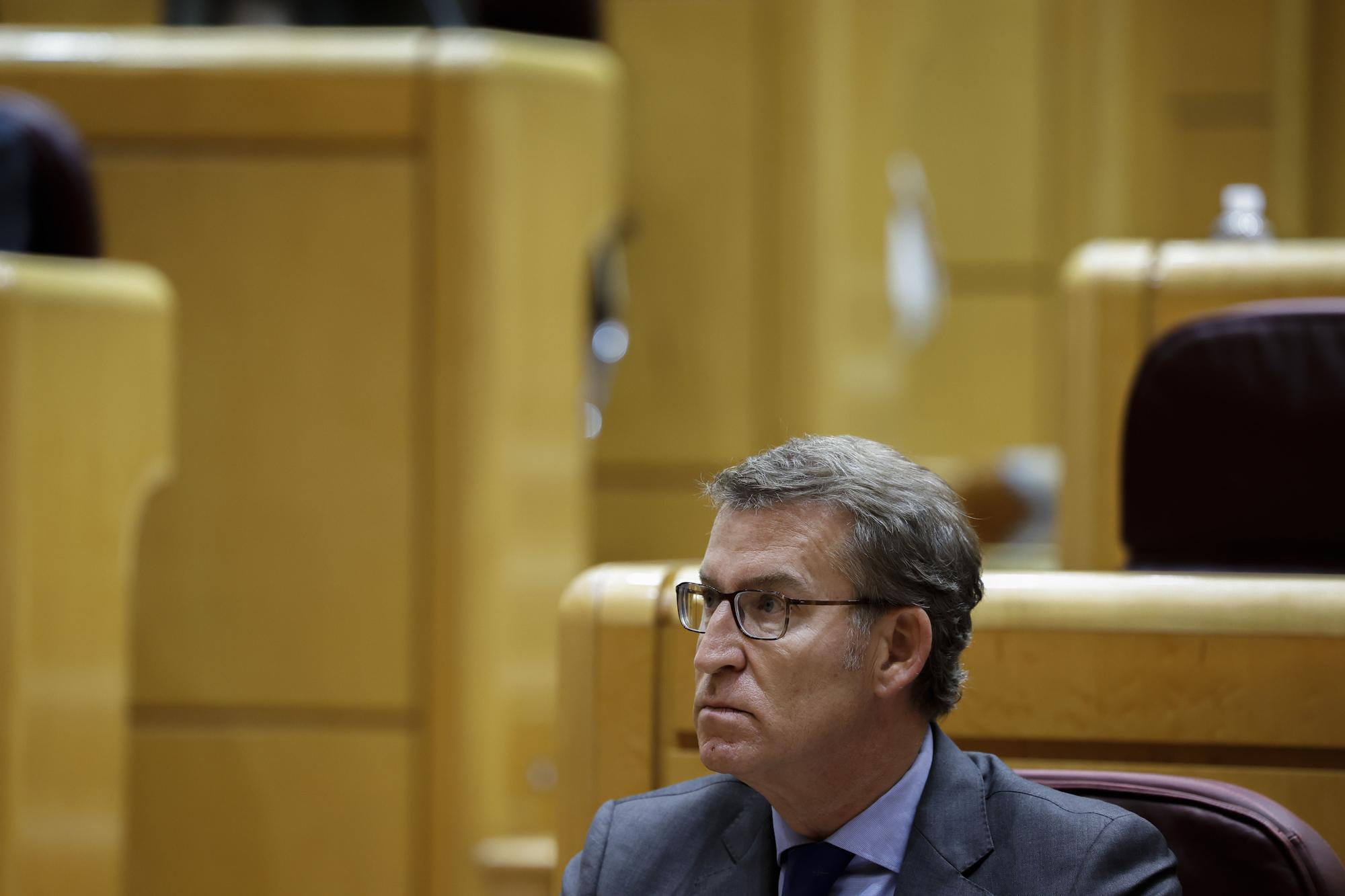 Alberto Núñez Feijóo en el Senado.