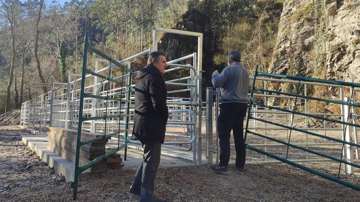 Armas y Alonso junto a la manga ganadera de Nueva.