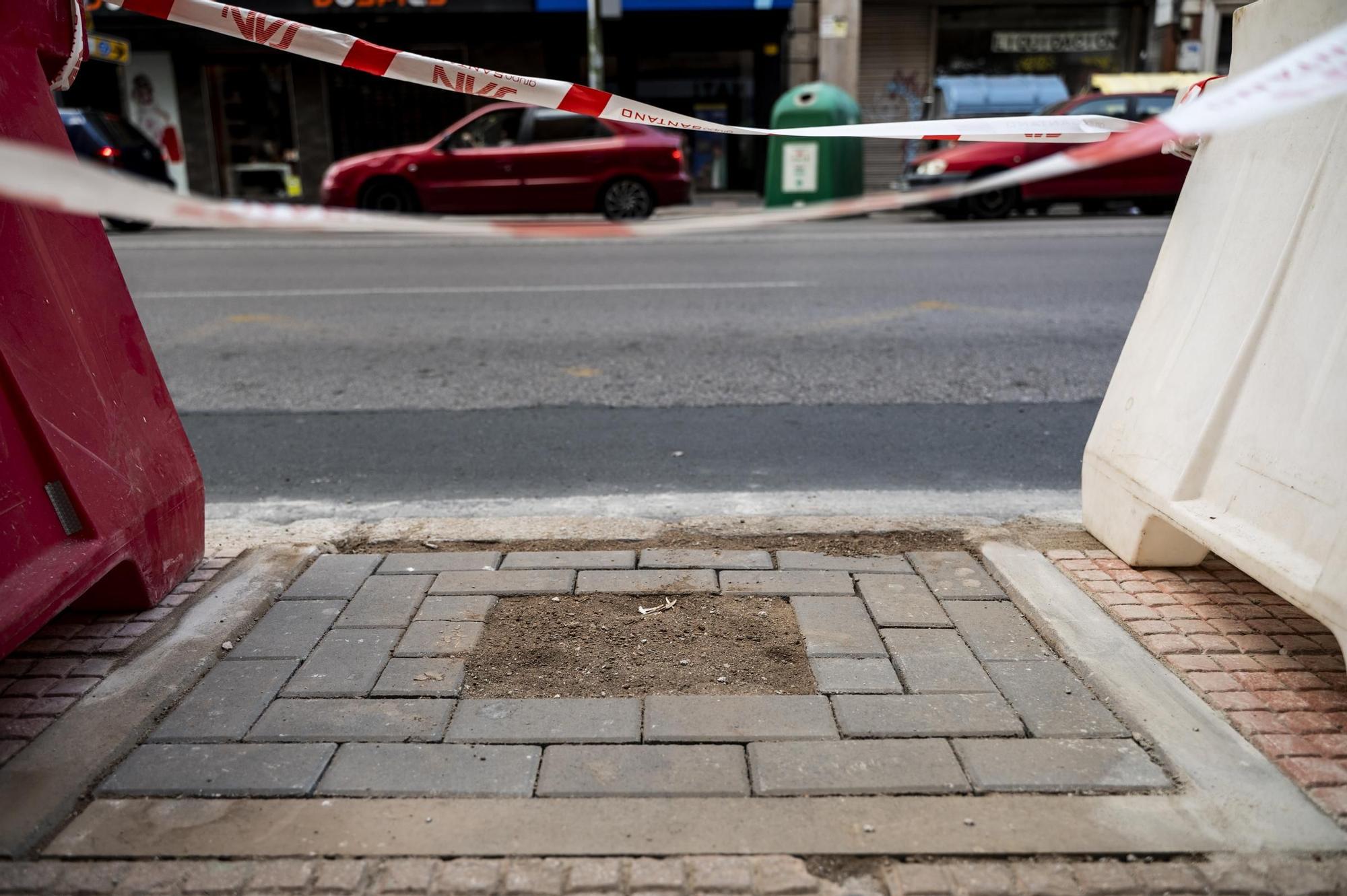 Obras para la plantación de árboles en Antonio Hurtado