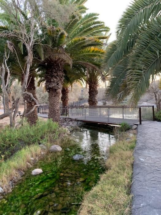 La exuberante naturaleza del Parque Tony Gallardo