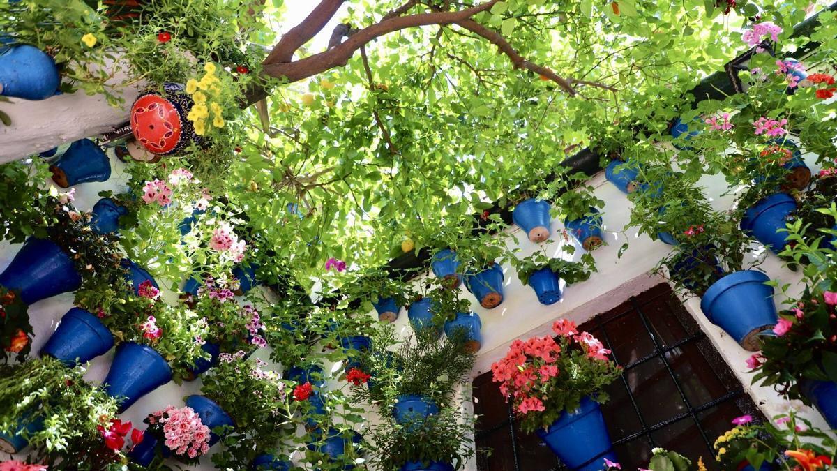 Nuevos rostros y tradición en los Patios de San Pedro-Santiago