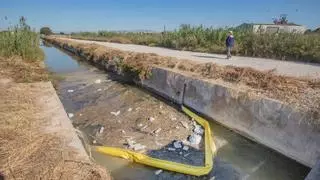 La invasión de plástico contaminante del río Segura obliga a la CHS a invertir 375.000 € para su retirada