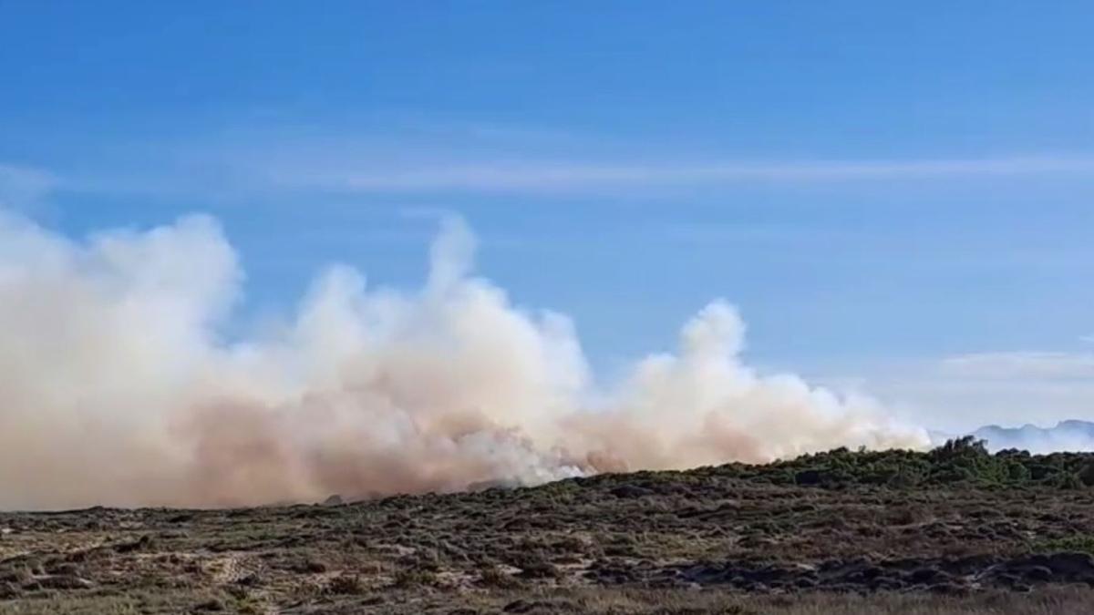 Incendio forestal en El Saler