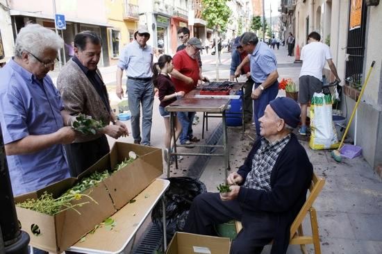 Catifes Arbúcies