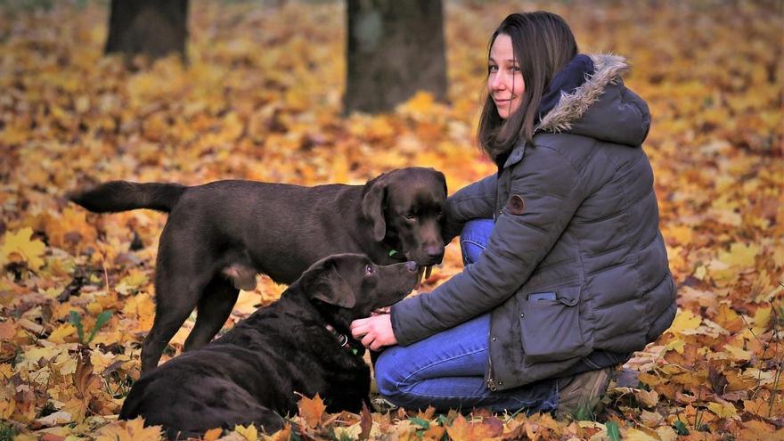 Perros y humanos