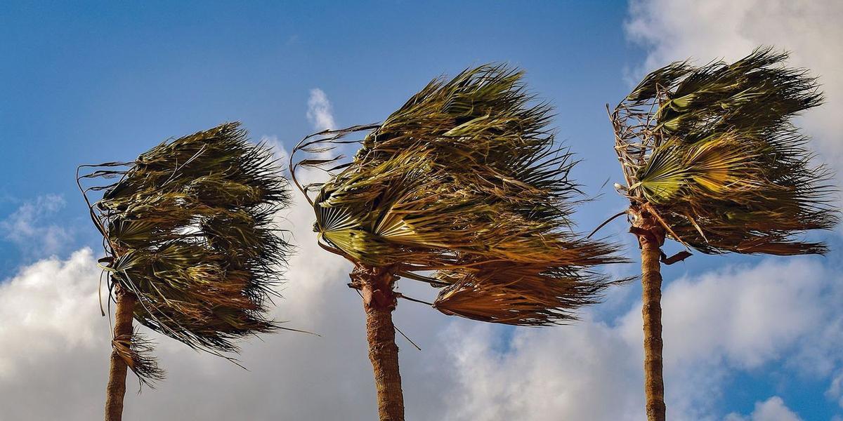 Aemet ha activado la alerta roja para este sábado en toda la provincia de Castellón, ante la previsión de vientos muy fuertes.