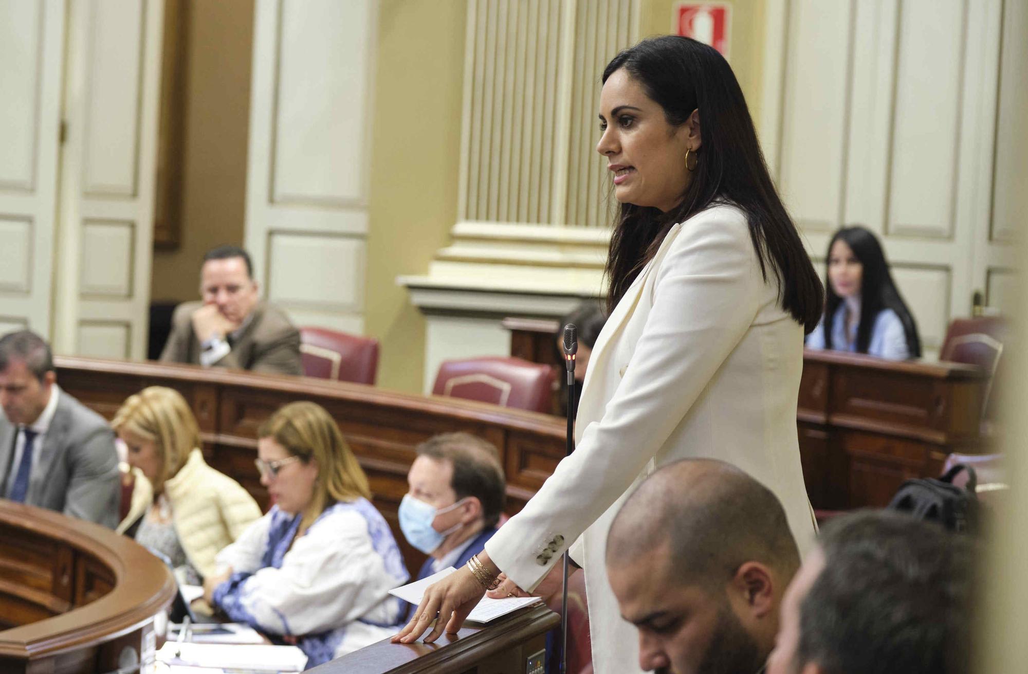 Pleno del Parlamento (26/04/2022)