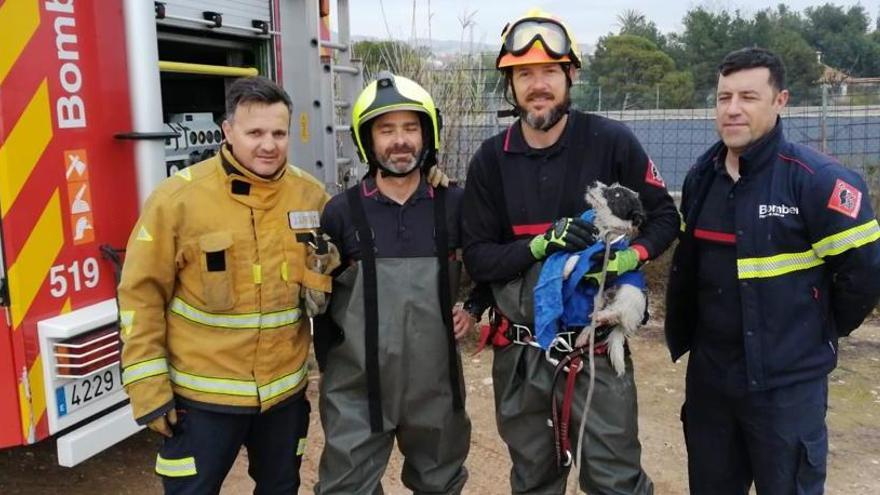 Parte del equipo de bomberos que ha contribuido al rescate